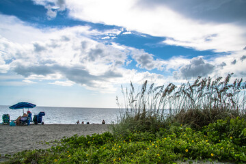 Path along the sea oat grass, flora and fauna for this southwest Florida beach. Location is Turtle Beach near popular travel tourist destination of Siesta Key. Storm clouds and sunshine illuminate sky