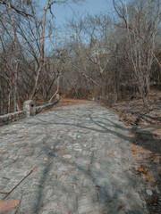 Abandoned rocky tropical road