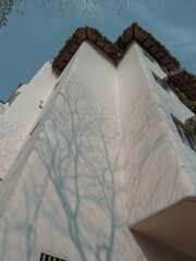 Beautiful thatched building