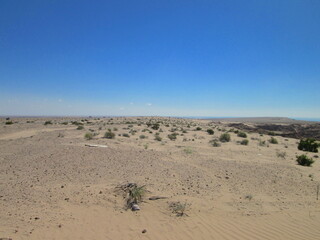 Fototapeta na wymiar Desert with sea in the background