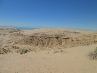 Desert with sea in the background