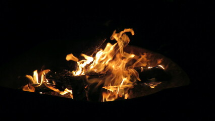 Night campfire with wood