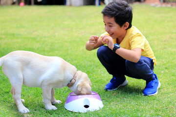 Little Hispanic boy feeds healthy kibble to his newly adopted puppy dog ​​as the newest member...
