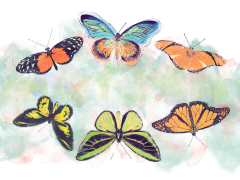 Watercolor of Tropical Butterflies for Background