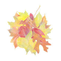 Watercolor Image of Colorful Autumn Leaves isolated on white