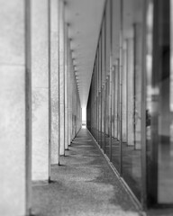 Obraz premium black and white