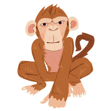 Cartoon monkey red color on white isolate. Squatting primate. Vector image of an animal in EPS.