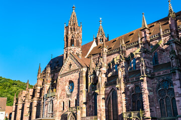 Freiburg Minster, the cathedral of Freiburg im Breisgau - Baden-Wurttemberg, Germany
