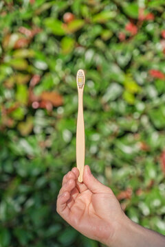 Hand holding an ecological bamboo toothbrush against a green natural plants background. Concepts: sustainable lifestyle, use of compostable and environmentally friendly materials, zero plastics.