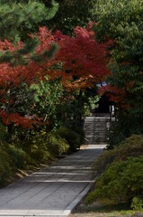 唐招提寺新宝蔵への道