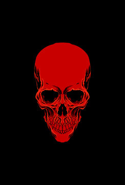 Head skull vector illustration