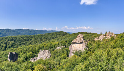 Fototapeta na wymiar Aerial view of bright landscape with green forest trees and big rocky boulders between dense woods in summer. Beautiful scenery of wild woodland