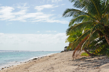 A view of coconut palm trees, a beach hut on the sand and a tropical lagoon on a Pacific Island.