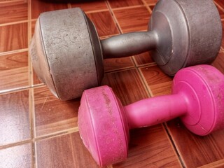 Two gray and pink dumbbells are on the brown floor
