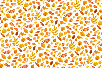 Pattern of natural orange autumn leaves on a white background, as a backdrop or texture. Fall wallpaper for your design. Top view Flat lay