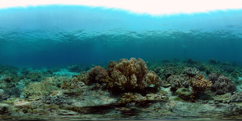Tropical coral reef seascape with fishes, hard and soft corals. Underwater video. Philippines. 360 panorama VR