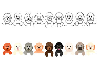 colorful goldendoodles peeking border