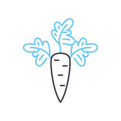 carrot line icon, outline symbol, vector illustration, concept sign