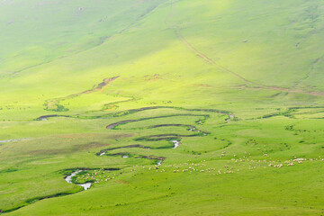 Persembe plateau in Aybasti Ordu - Turkey (Türkiye). Perşembe Plateau (Turkish: Perşembe Yaylası) is a high meadow near the town of Aybasti, one of the biggest tourist attractions in the area.
