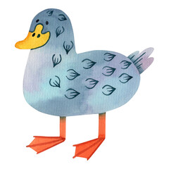 Duck watercolor illustration in cartoon style. Isolated on a white background. Suitable for logos, posters, books, nursery decorations, textiles, postcards.