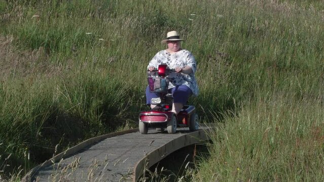Women on mobility scooter moving along boardwalk enjoying wildflower meadow