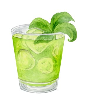 Basil Punch cocktail watercolor hand drawn illustration. Drink clipart on white background.