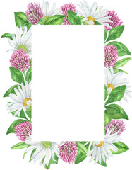 Watercolor wildflowers  frames. Daisy and clover composition perfect for invitation. Summer  flower arrangement
