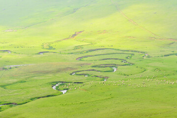 Persembe plateau in Aybasti Ordu - Turkey (Türkiye). Perşembe Plateau (Turkish: Perşembe Yaylası) is a high meadow near the town of Aybasti, one of the biggest tourist attractions in the area.
