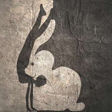 Fototapeta Optical illusion with beautiful young woman and rabbit silhouettes