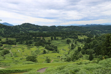 Obraz premium 日本の田風景ｉｎ新潟県