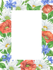 Watercolor wildflowers  frames. Wildflowers wreath. Daisy and poppy composition perfect for invitation. Summer  flower arrangement