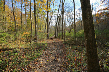 Walking through Glen Helen Nature Preserve, Ohio