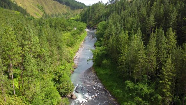 Drone tilt up shot of a river in the middle of a forest