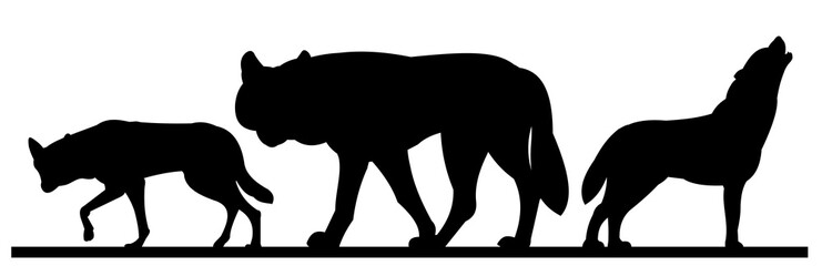 Small pack of wolves. Silhouette picture. Wild animal in nature. Predator in natural conditions. Isolated on white background. Vector.