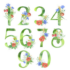Set of hand painted watercolor numbers from one to nine and zero isolated on white background with wildflowers. Collection   symbols perfect for print wedding invitation