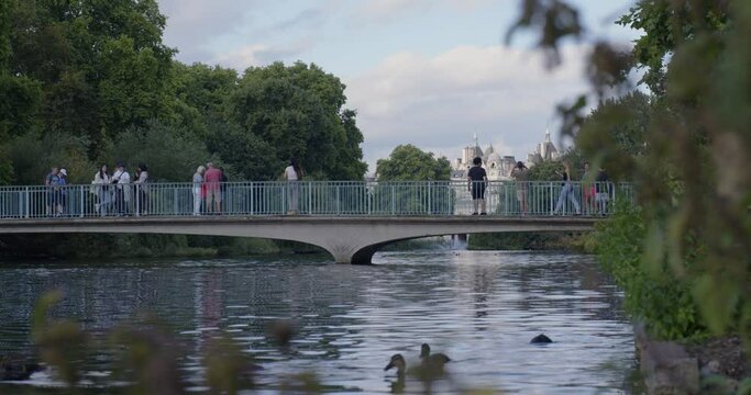 Tourists taking photos in St. James's park by a pond in Central London, UK 4K CINEMATIC BRITAIN