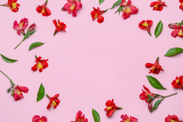 Frame made of red alstroemeria flowers on pink background