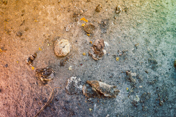 Color saturated photograph of chicken manure on the floor, top view © Влад Варшавский