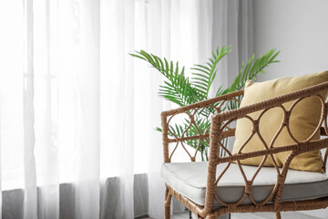 Armchair with cushion and palm tree near light curtain in living room