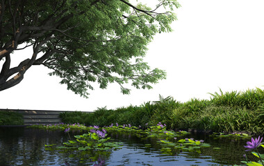 Foreground twigs on a transparent background
