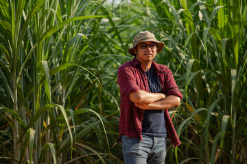 Young grower sugar cane portrait in the plantation