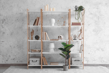 Shelving unit with books, decor and human skull near light wall