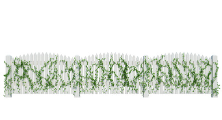 3d Render Ivy Plants Isolated  on white