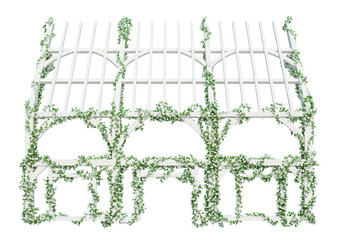 3d Render Ivy Plants Isolated  on white