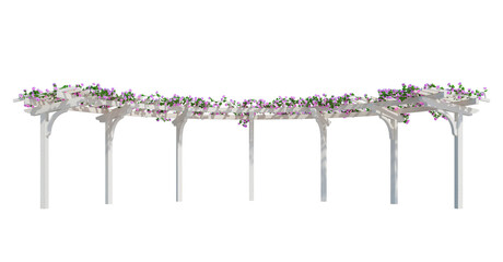 3d Render Ivy Plants Isolated  on white
