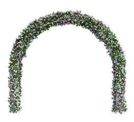 3d Render Ivy Plants Isolated  on white