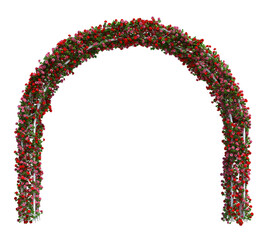 3d Render Ivy Plants Isolated  on white