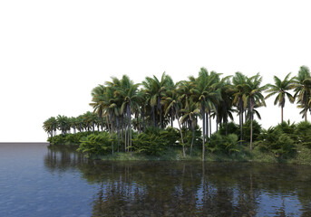 Fototapeta na wymiar coconut garden on a transparent background 