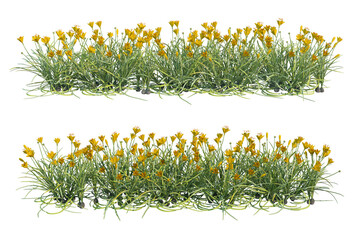 Obraz premium Flowers on a transparent background 