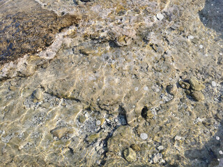 The coast of the Mediterranean Sea, clear water with reflections of the sun's rays, through which you can see the stone bottom. Background.